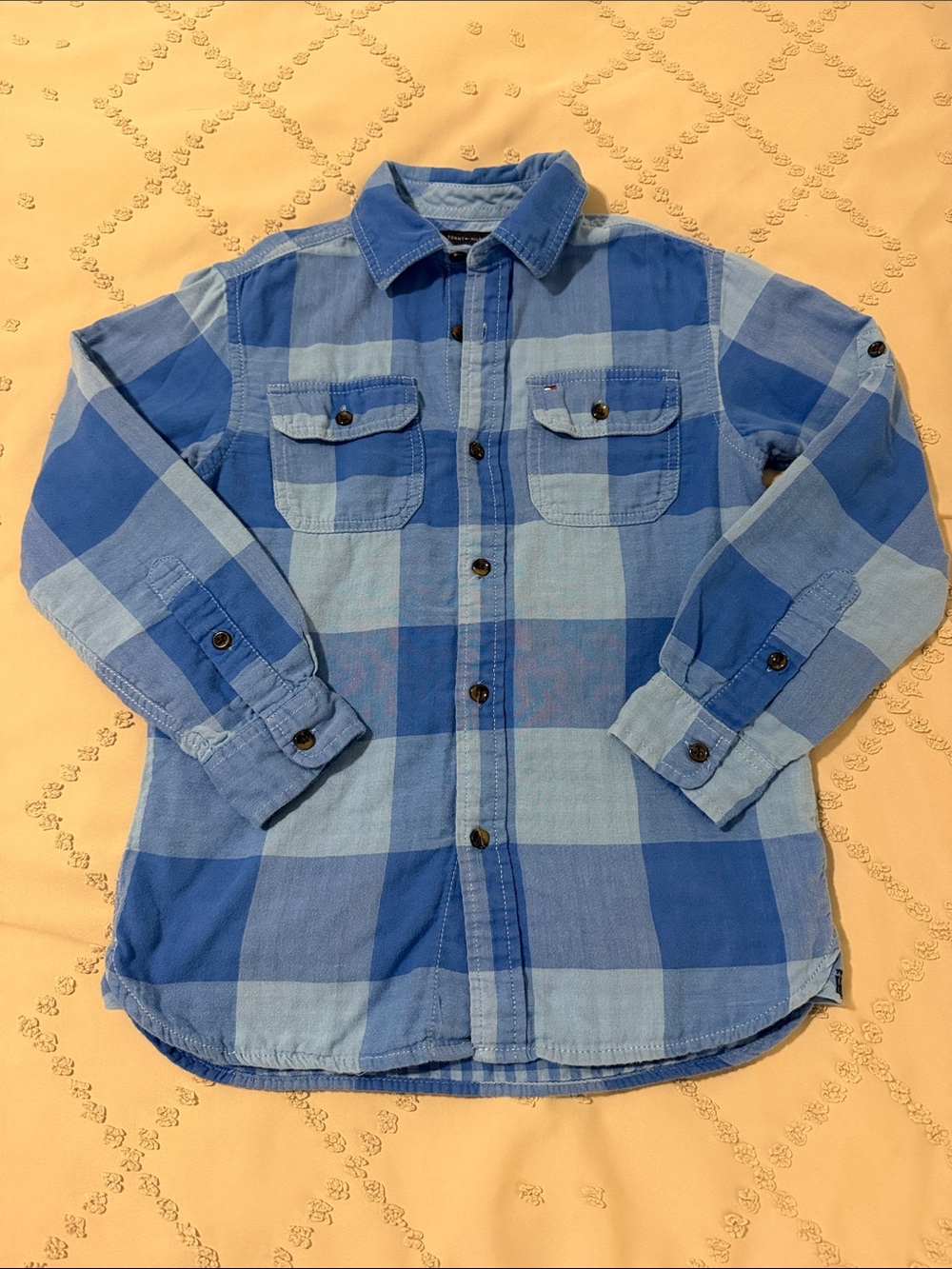 Tommy Hilfiger Blue Plaid Button-Down Shirt